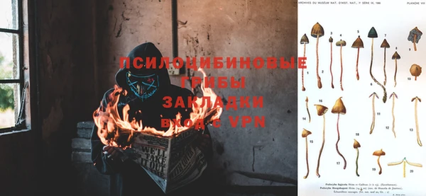 трава Волоколамск