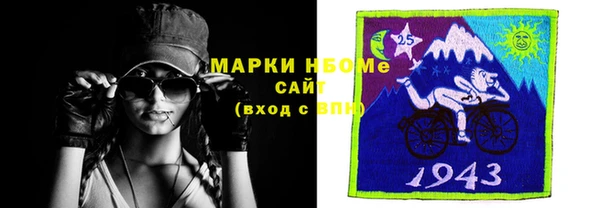 индика Вязьма