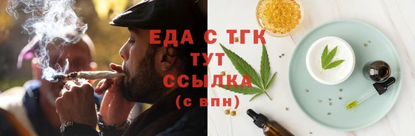 индика Вязьма
