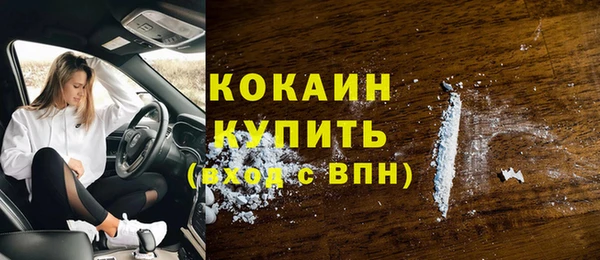 гидра Вязники