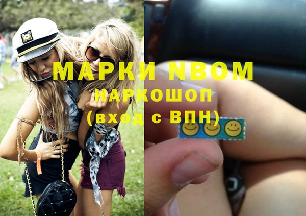 индика Вязьма