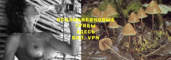 трава Волоколамск